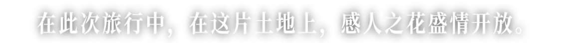 この旅に、この地にひらく感動の花を。