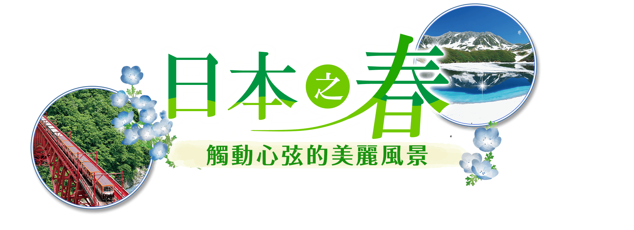 Spring in Japan Breathtaking Vistas to Stir Your Soul