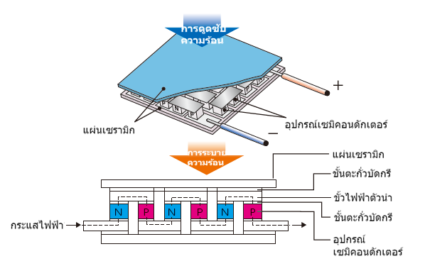 ปรากฏการณ์ เพลเทียร์