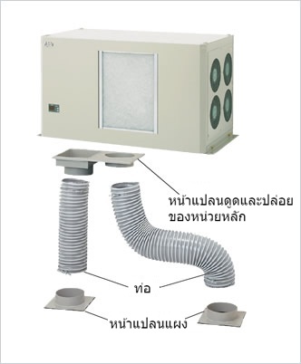 ติดเพดาน