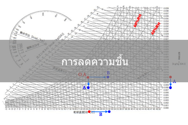การลดความชื้น