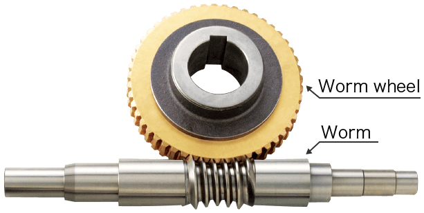 Internal structure of a worm reducer