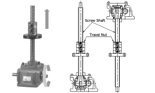 Estructura de nuez viajera