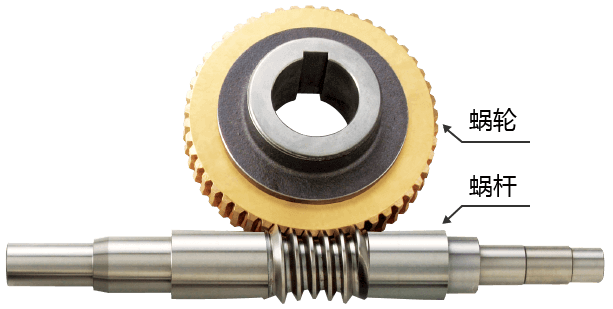 蜗轮减速机的内部结构