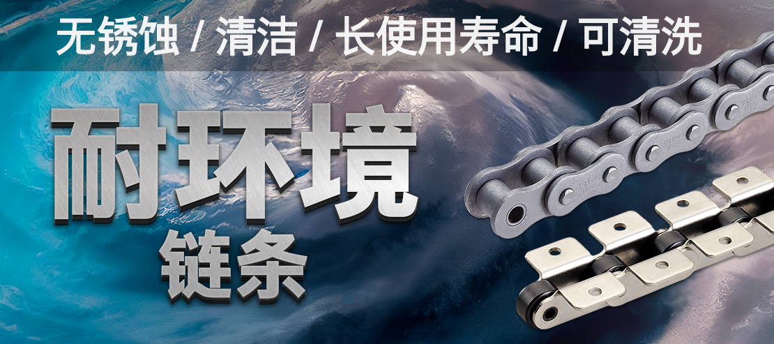 不生锈/清洁/长寿命/可清洗耐环境链