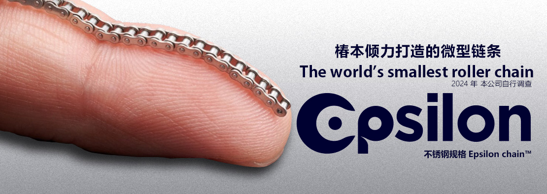 不锈钢规格Epsilon Chain