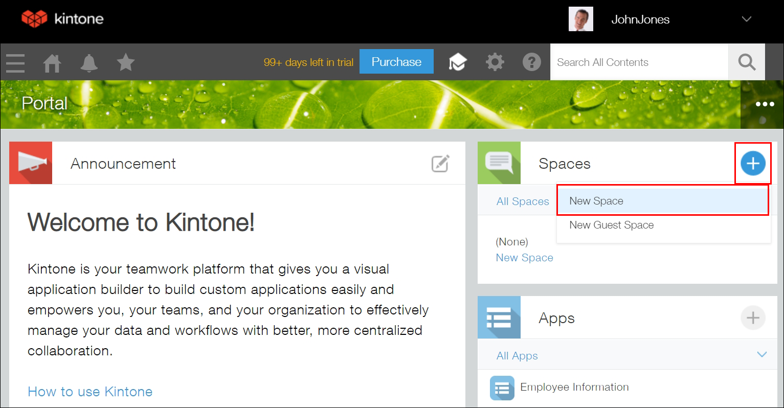 Screenshot: The "New Space" icon and the "New Space" link are outlined on Portal