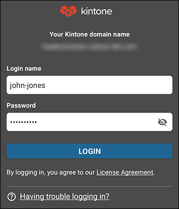 Screenshot: The screen for entering a login name and password