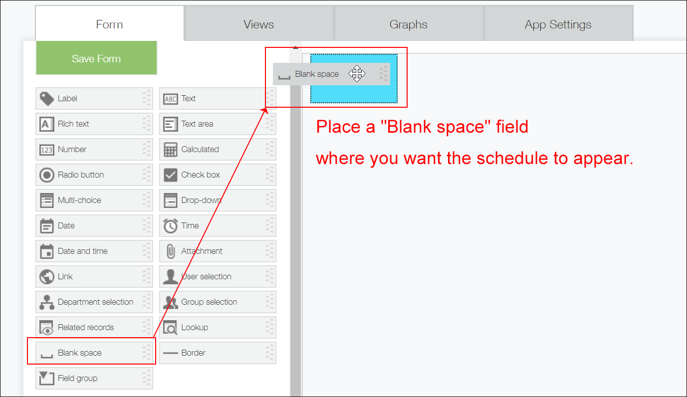 Screenshot: A "Blank space" field placed on the app's "Form" tab