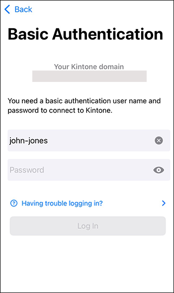 Screenshot: The screen for entering a login name and password