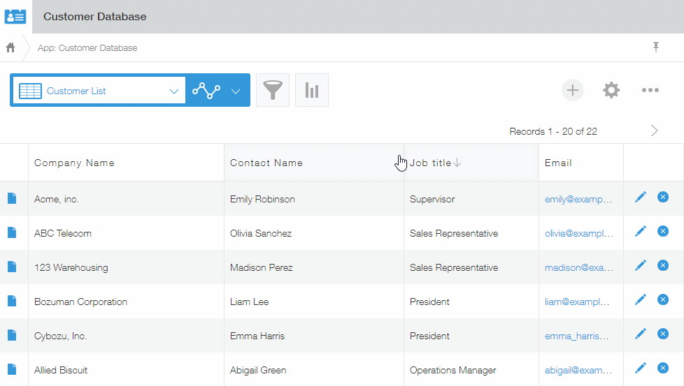 Screenshot: Adjusting the widths of field columns by dragging their right borders