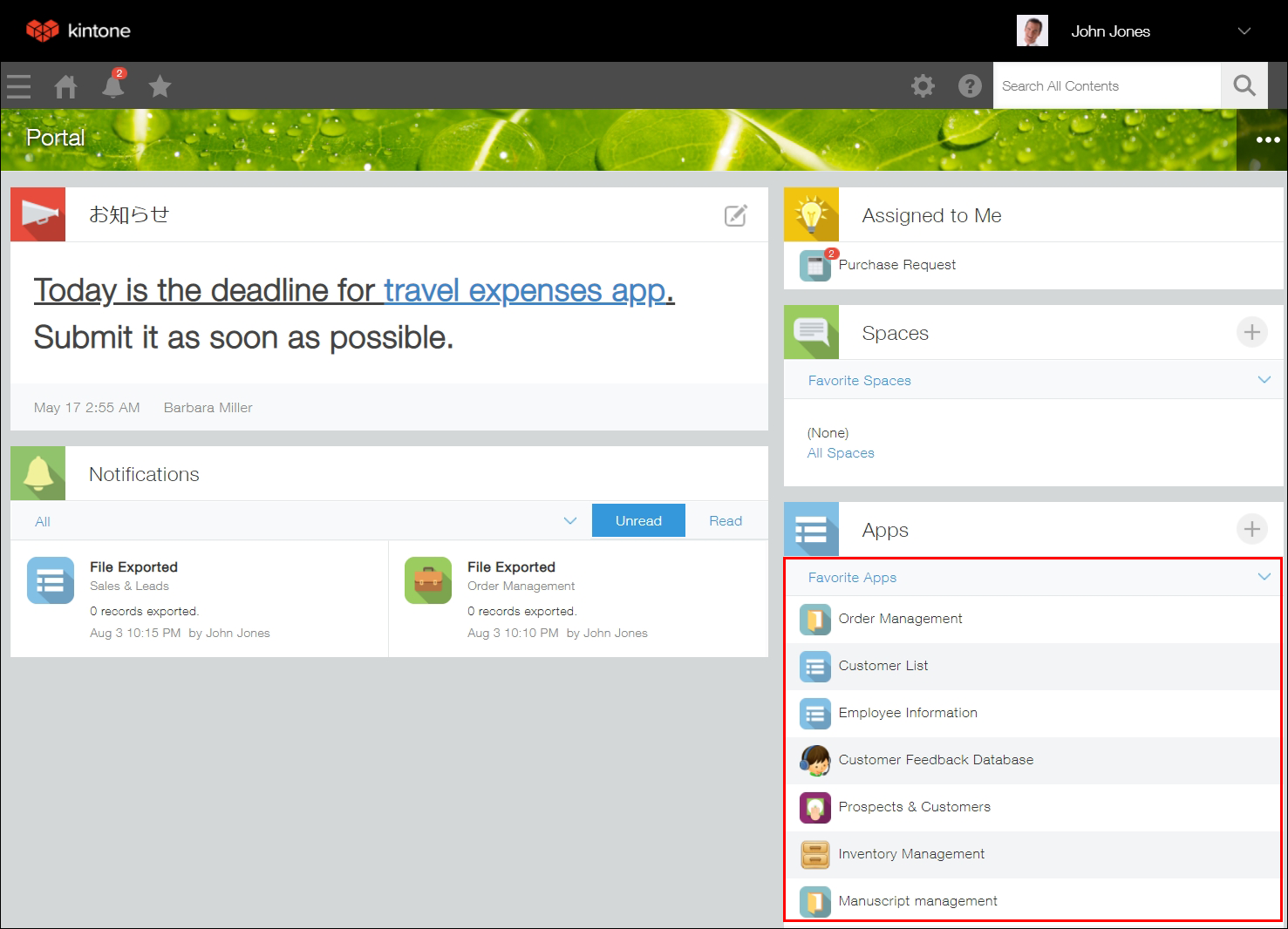 Screenshot: The "Apps" section is outlined on the kintone portal
