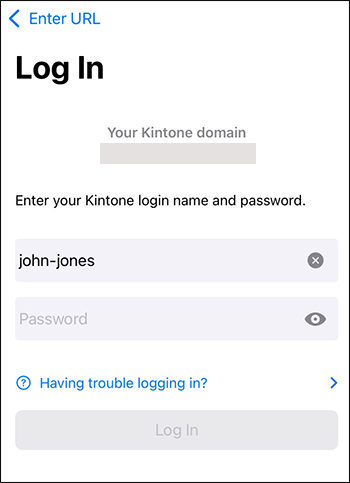 Screenshot: The screen for entering a login name and password