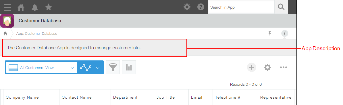 Screenshot: An app description is outlined on a "Record details" screen