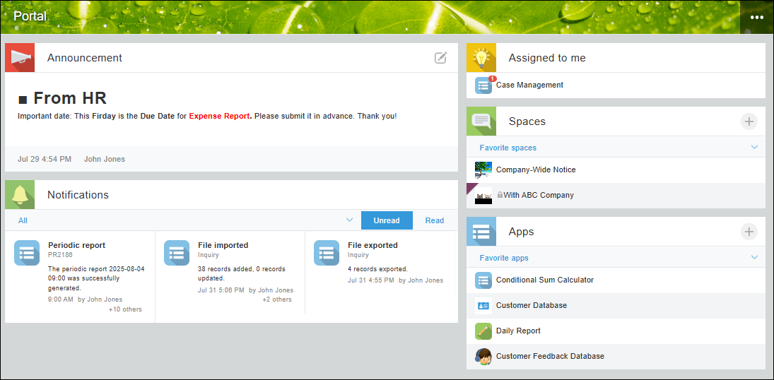 Screenshot: A portal is displayed