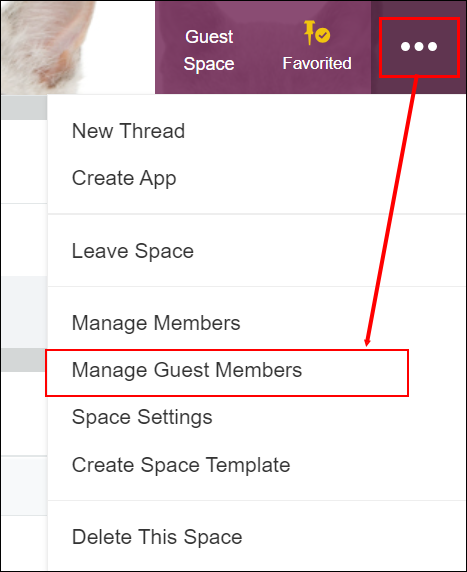 Screenshot: The "Options" icon and the "Manage guest members" link are highlighted in a guest space