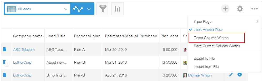 Screenshot: "Reset column widths" is outlined