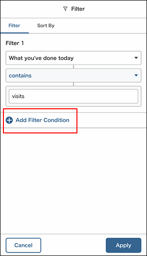 Screenshot: The "Add filter condition" button is outlined