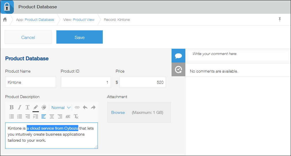 Captura de pantalla: La pantalla para editar un registro