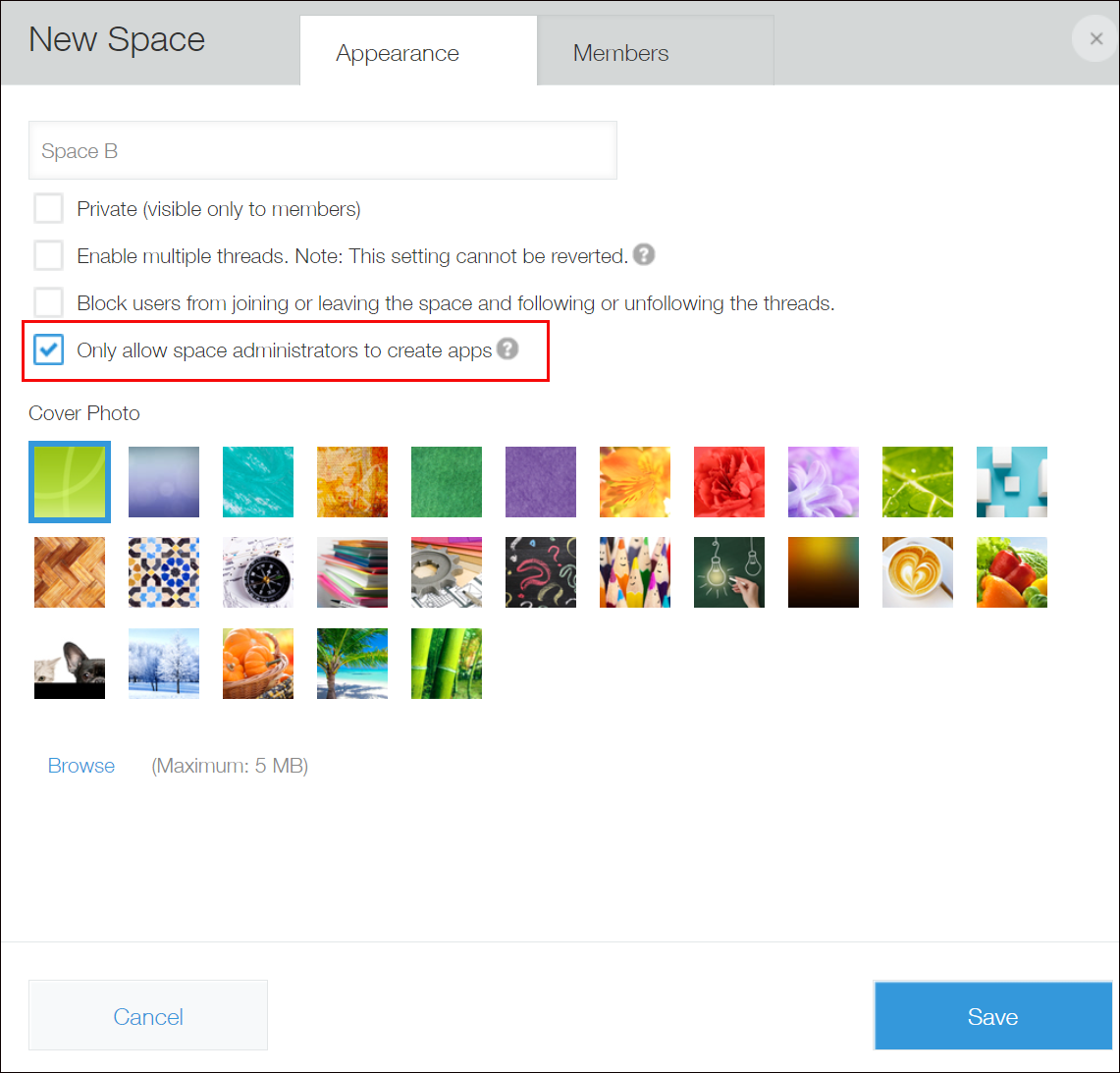 ภาพหน้าจอ: ช่องทำเครื่องหมาย "อนุญาตให้ผู้ดูแลสเปซเท่านั้นที่สามารถสร้างแอปพลิเคชันได้" มีระบุไว้ในแท็บ "รูปลักษณ์"