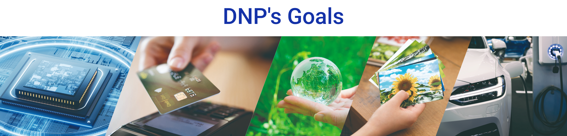 DNP's Goals
