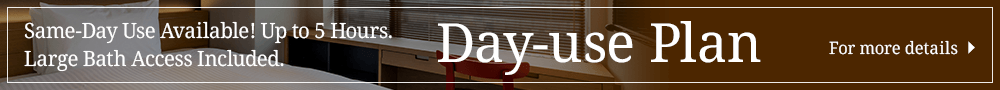 Day Use