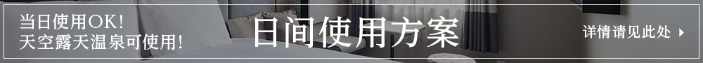 日间客房