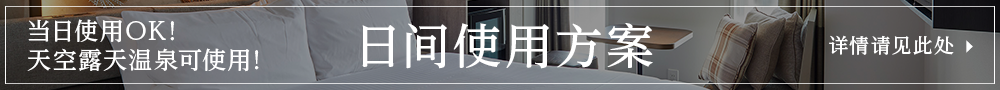 日间客房