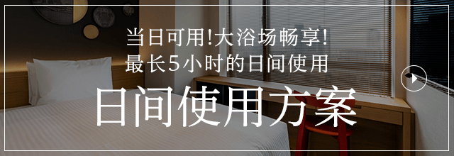 日间客房