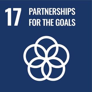 17. Achieve your goals through partnerships