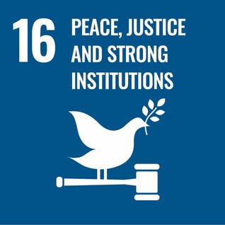 16. Peace, Justice and Institutions