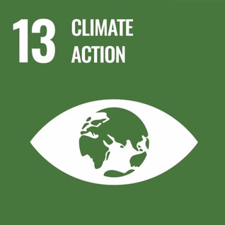 13. Take concrete action on climate change