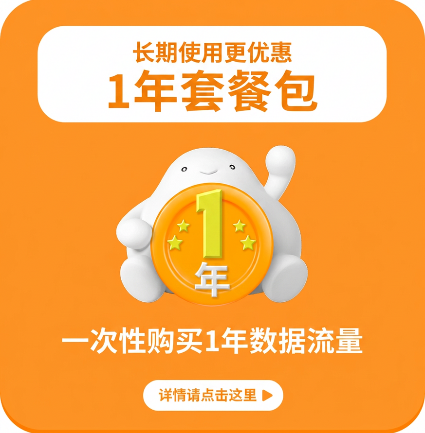 一年的流量包