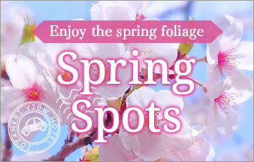 Recommended spring spots around Jozankei to enjoy the autumn leaves