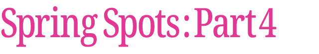 春のおすすめスポット　その4