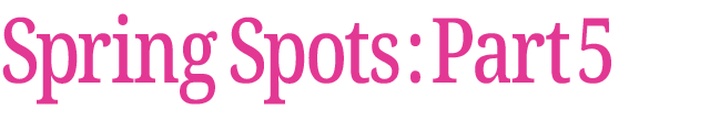 春のおすすめスポット　その5