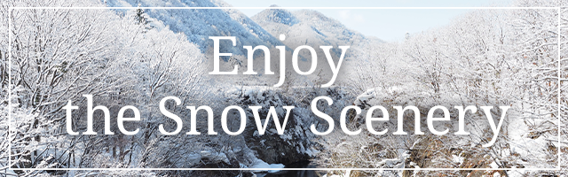 雪景色を楽しむ