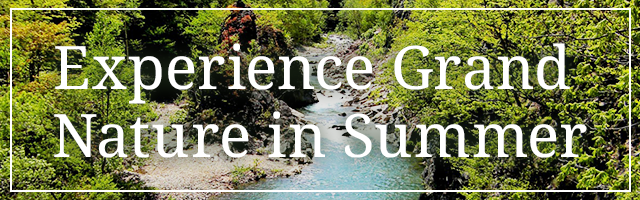 夏の大自然を体感