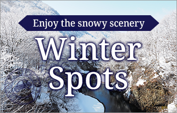 冬の大自然を満喫 定山渓周辺 冬のおすすめスポット