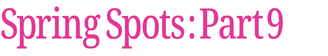 春のおすすめスポット　その9