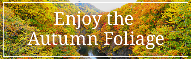 秋の紅葉を満喫