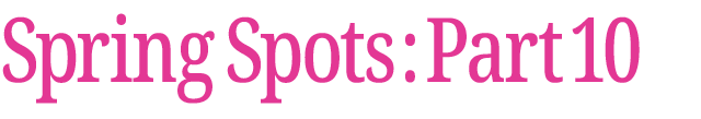 春のおすすめスポット　その10