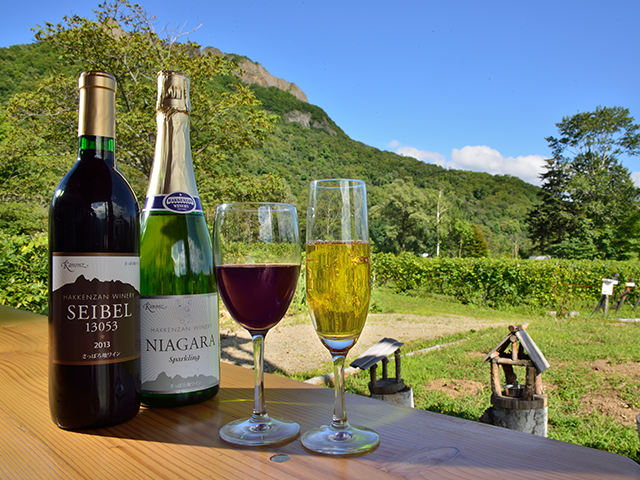 Hakkenzan area (orchards and wineries)