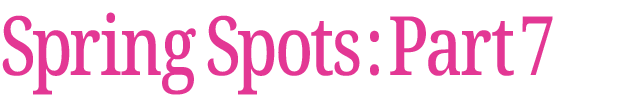 春のおすすめスポット　その7