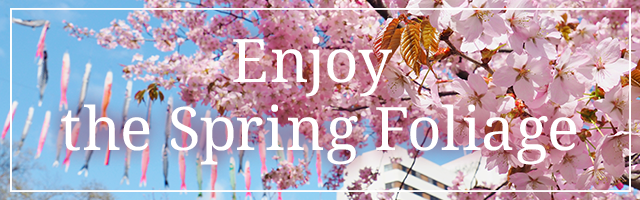 春紅葉を楽しむ