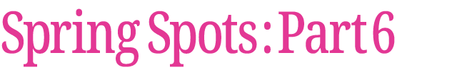 春のおすすめスポット　その6
