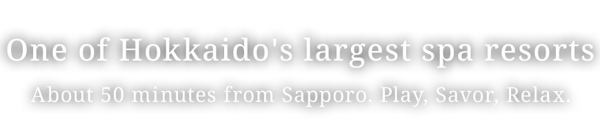 Jozankei View Hotel (Official Website) The official website offers the best deals. A huge spa resort perfect for family trips. About 50 minutes by car from Sapporo. Enjoy the pool, hot springs, and buffet.