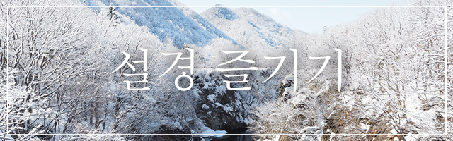 雪景色を楽しむ