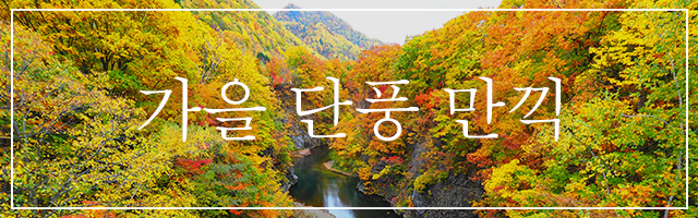 秋の紅葉を満喫