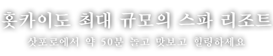 Jozankei View Hotel (공식 HP) 공식 사이트가 제일 유익. 가족 여행에 이상적인 거대한 스파 리조트. 삿포로에서 차로 약 50분. 수영장과 온천, 뷔페를 만끽.